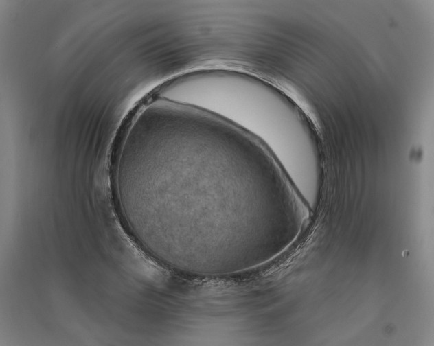 X0000091350972200708171428