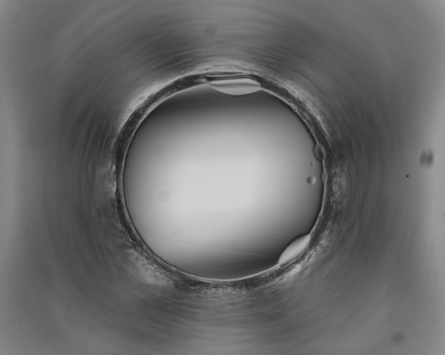 X0000091350973200708171428