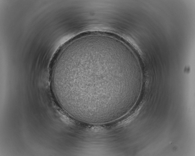 X0000091350974200708171428