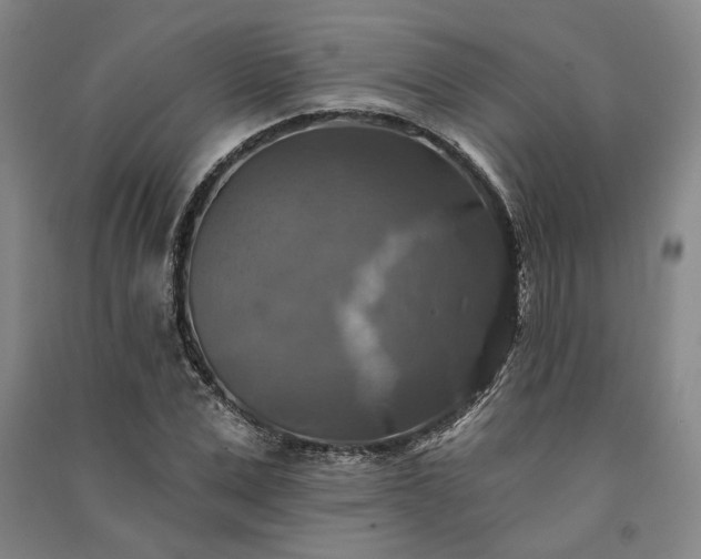 X0000091350975200708171428