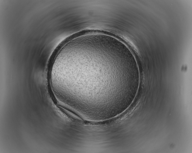 X0000091350976200708171428