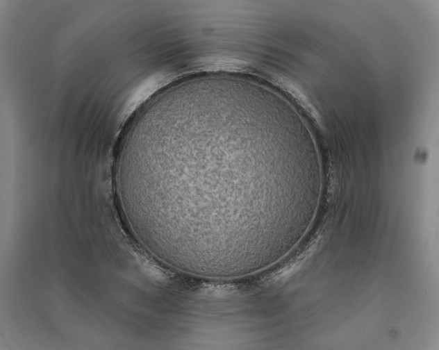 X0000091350978200708171428