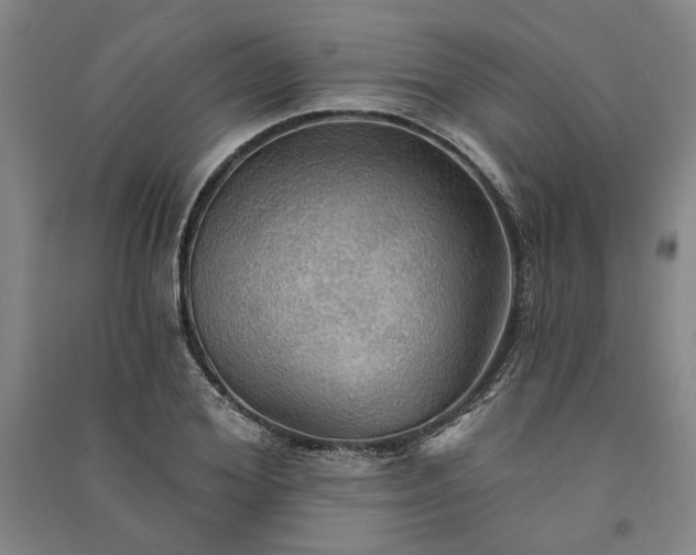 X0000091350980200708171427