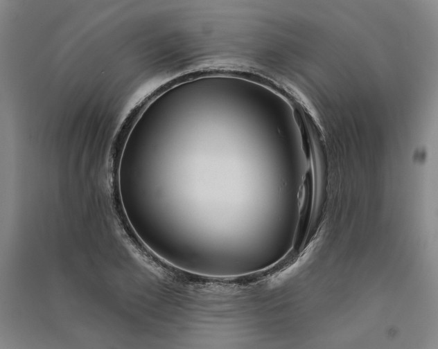 X0000091350981200708171427