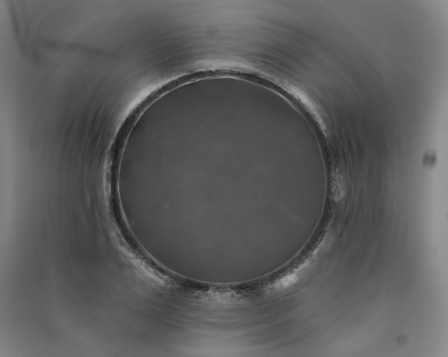 X0000091350983200708171427