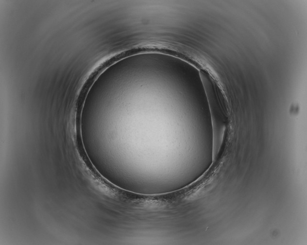 X0000091350984200708171427