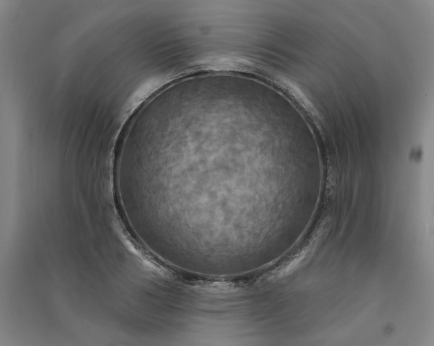 X0000091350986200708171427