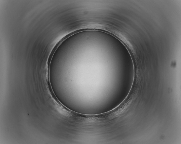 X0000091350988200708171427