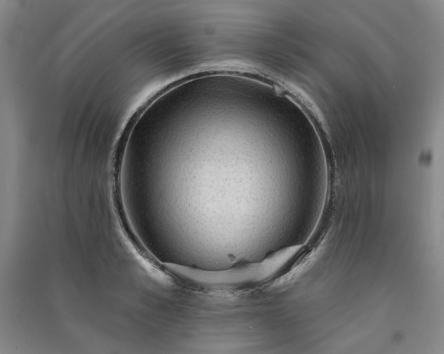 X0000091350989200708171427