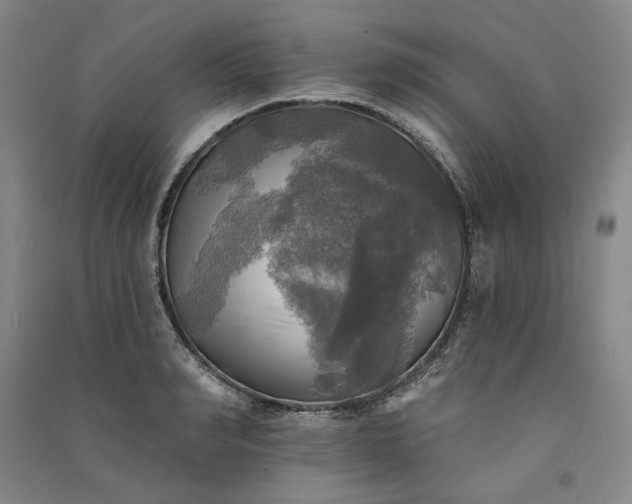 X0000091350990200708171427