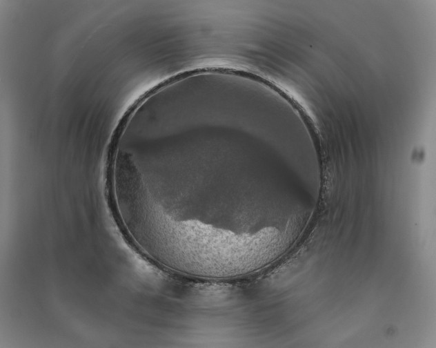 X0000091350991200708171427