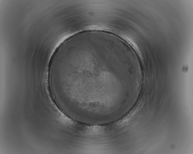 X0000091350992200708171427
