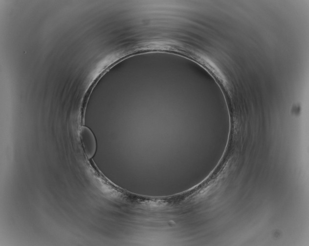 X0000091350994200708171427