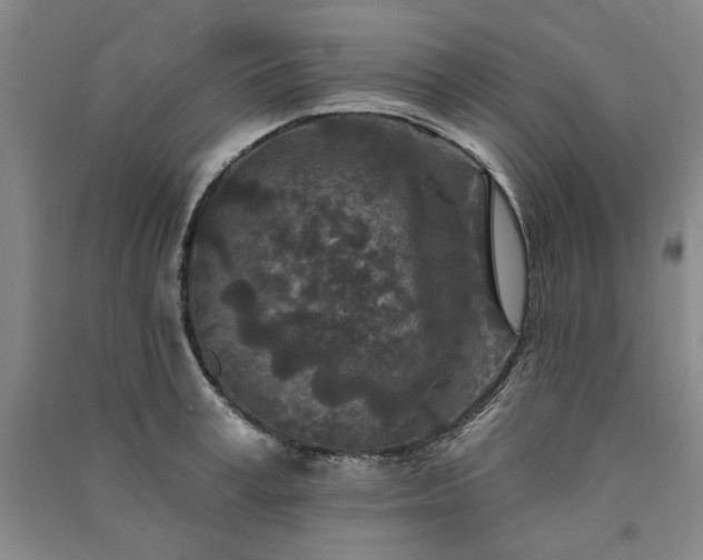 X0000091350995200708171427
