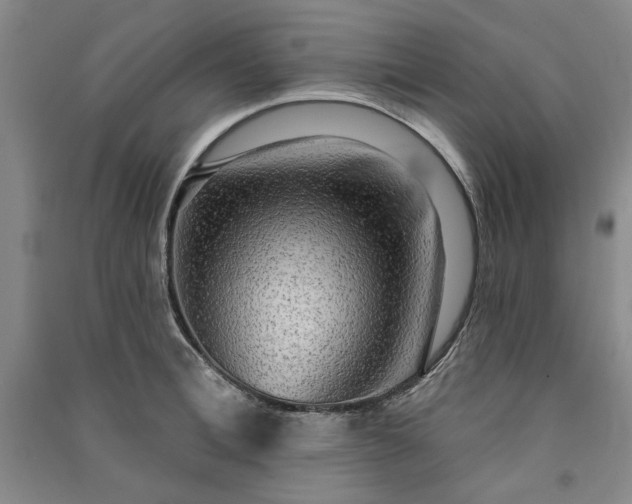 X0000091350996200708171427