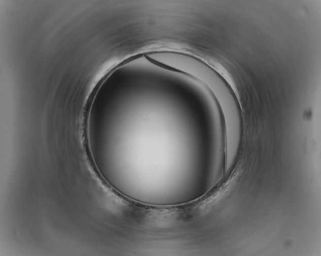 X0000091350997200708171427