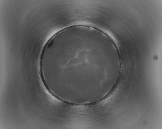 X0000091350999200708171427