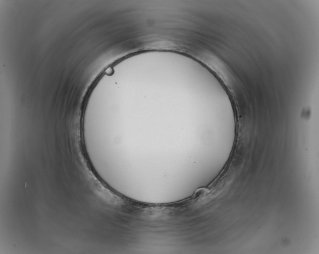 X0000091351000200708171427