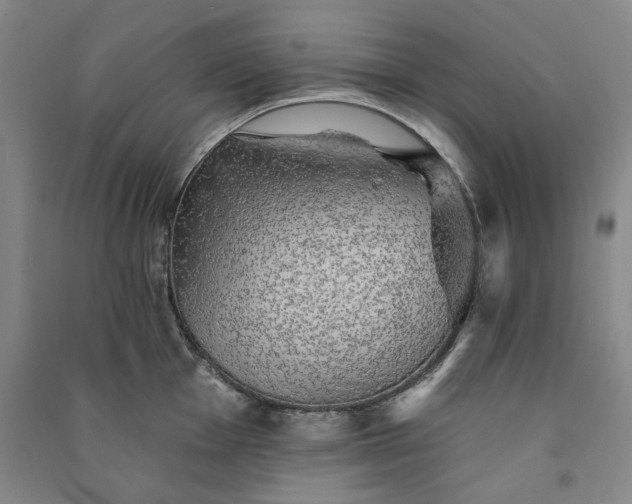 X0000091351001200708171427
