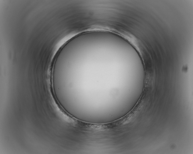 X0000091351003200708171427