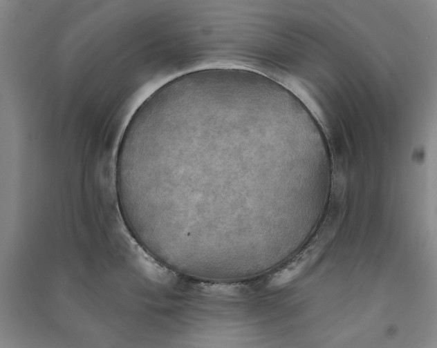 X0000091351004200708171427