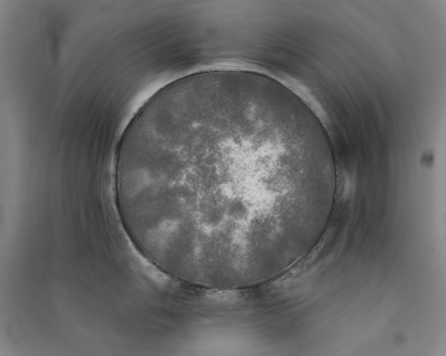 X0000091351006200708171427