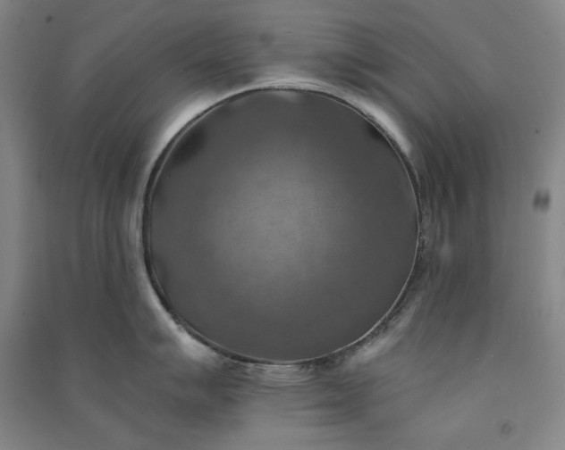 X0000091351007200708171427