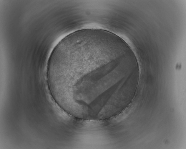 X0000091351008200708171427