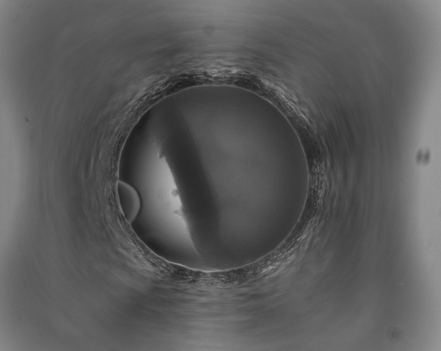 X0000091351009200708171427