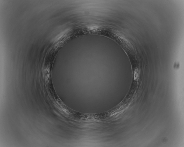 X0000091351011200708171427