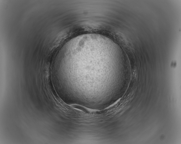 X0000091351012200708171427