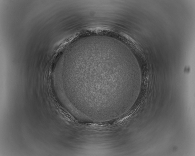 X0000091351014200708171427