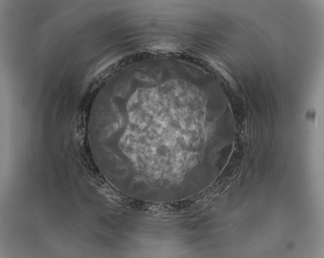 X0000091351015200708171427