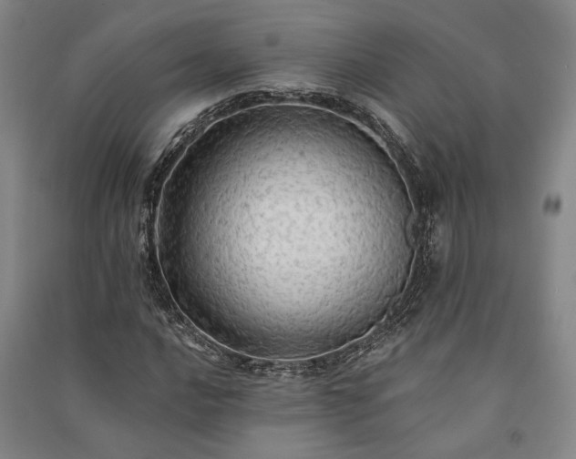 X0000091351016200708171427
