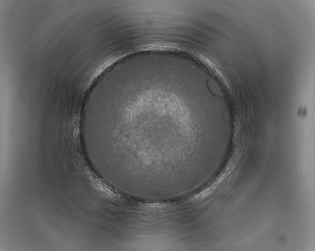 X0000091351017200708171427