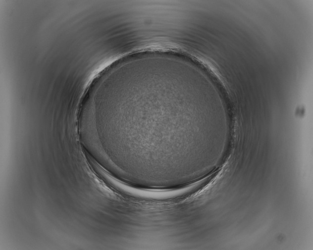 X0000091351018200708171427