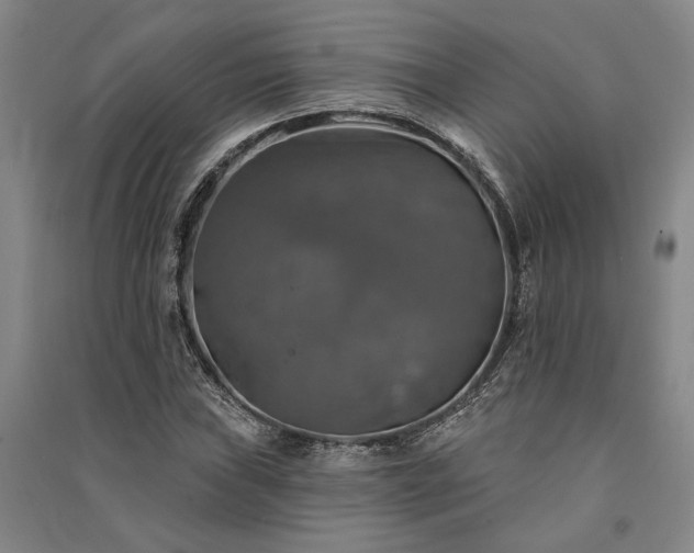 X0000091351019200708171427