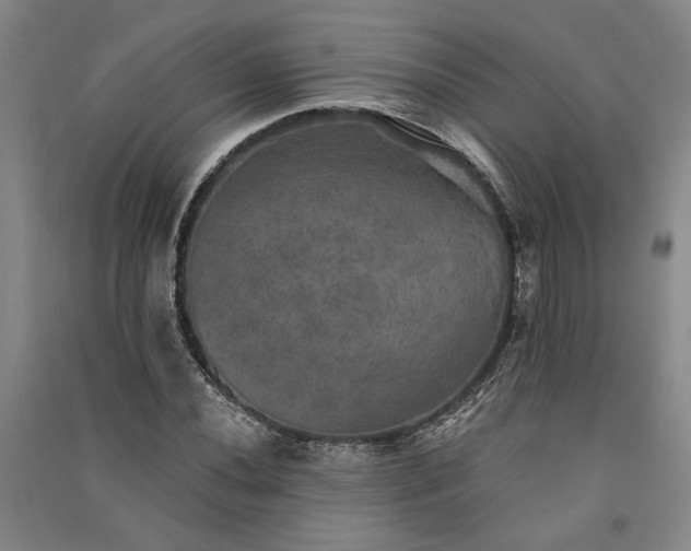 X0000091351020200708171427