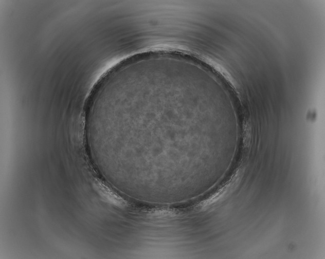 X0000091351021200708171427
