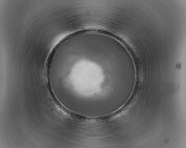X0000091351022200708171427