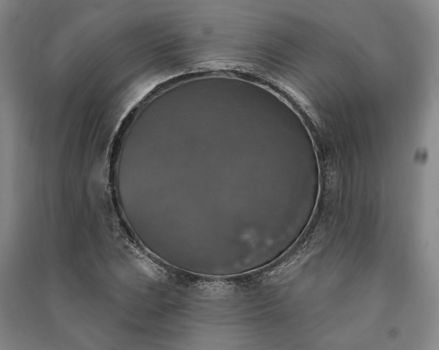 X0000091351023200708171427