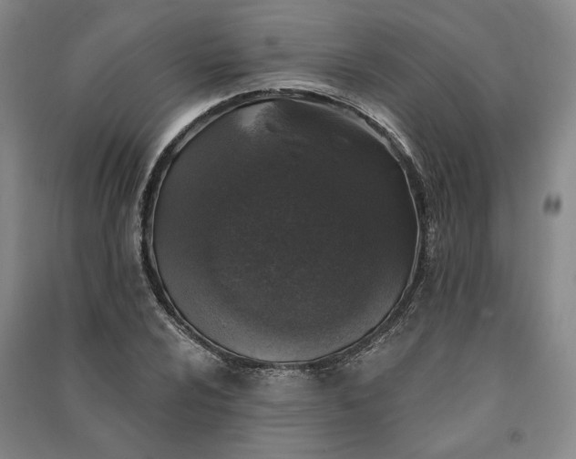 X0000091351024200708171427