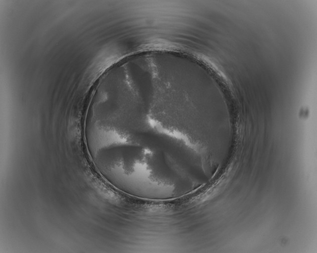 X0000091351025200708171427