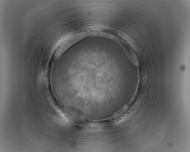 X0000091351026200708171427