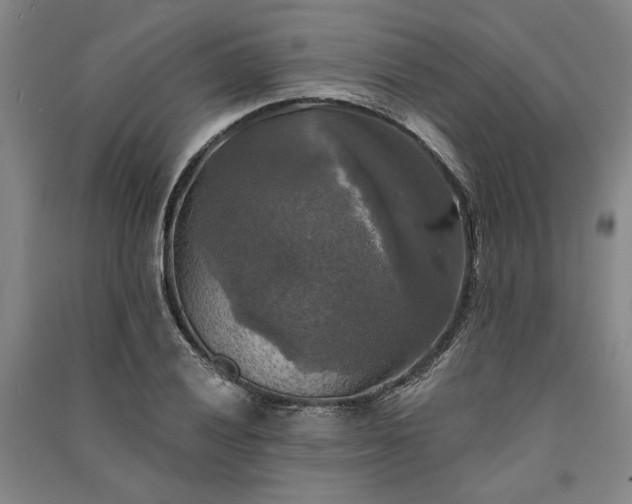 X0000091351028200708171427