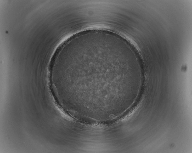 X0000091351029200708171427
