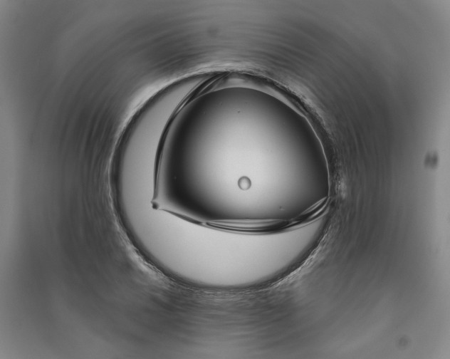 X0000091351030200708171427