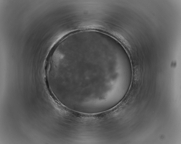 X0000091351031200708171427