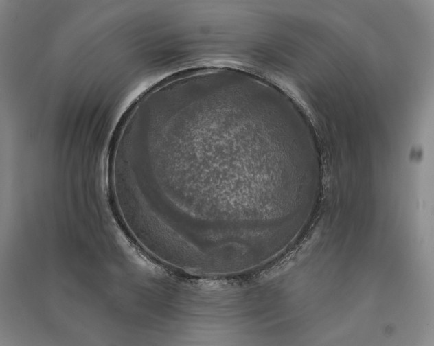 X0000091351032200708171427