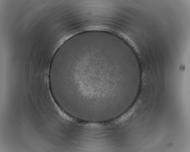 X0000091351033200708171427